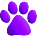 Petvisor logo