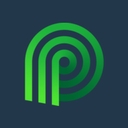 Palmetto logo